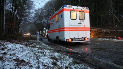 Bad Saulgau: Baeume auf Strasse - Feuerwehrmann schwer verletzt bei Bergearbeiten 